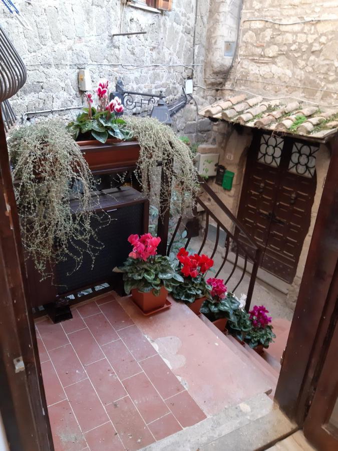 Villa Gusto E Benessere Sweet Home E Ristorante Sacrofano Zewnętrze zdjęcie